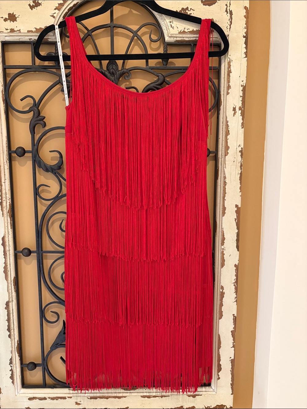 Boston Proper Red Fringe Mini Dress. Flapper, Roaring Twenties.